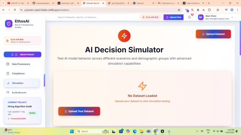 EthosAI: Bias & Decision Transparency Auditor – screenshot 1