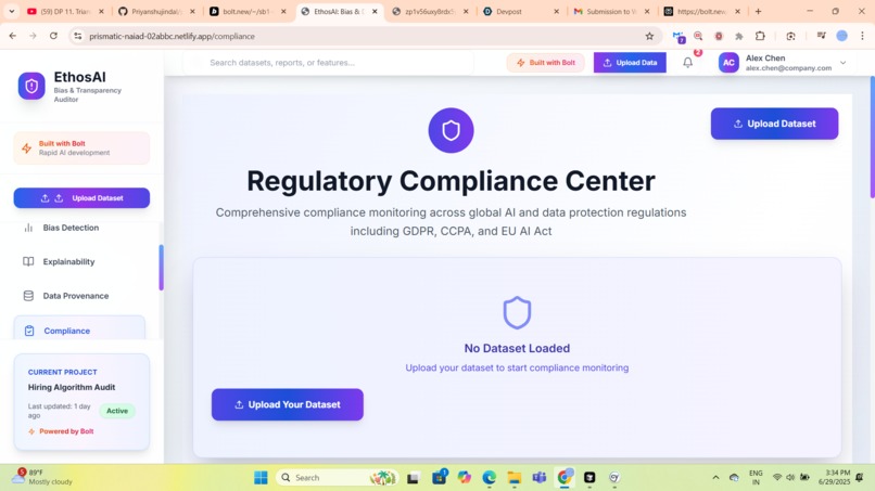 EthosAI: Bias & Decision Transparency Auditor – screenshot 4