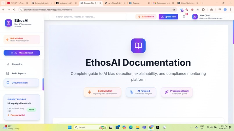 EthosAI: Bias & Decision Transparency Auditor – screenshot 5
