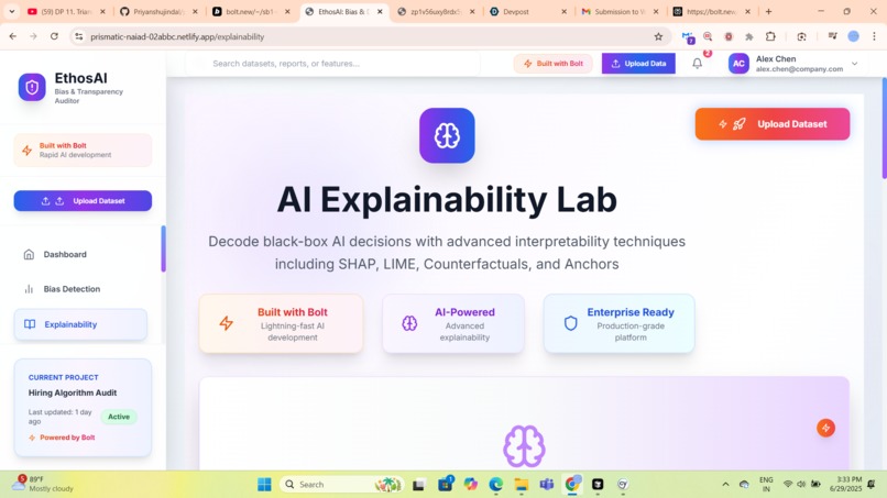 EthosAI: Bias & Decision Transparency Auditor – screenshot 7