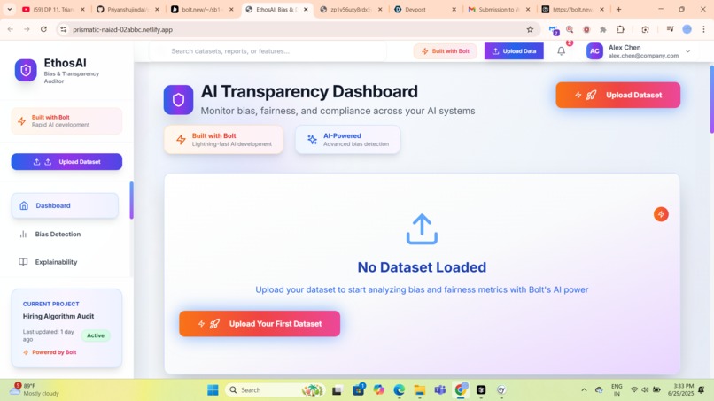 EthosAI: Bias & Decision Transparency Auditor – screenshot 8