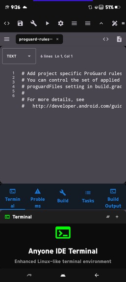 anyones-IDE – screenshot 3