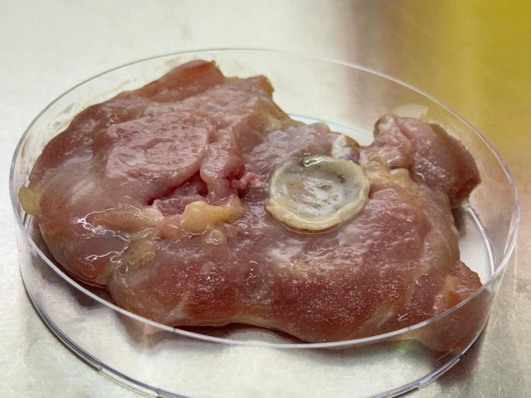 Anisium Guard: Smart Edible Nano Sensor Strip Powered by AI – screenshot 4