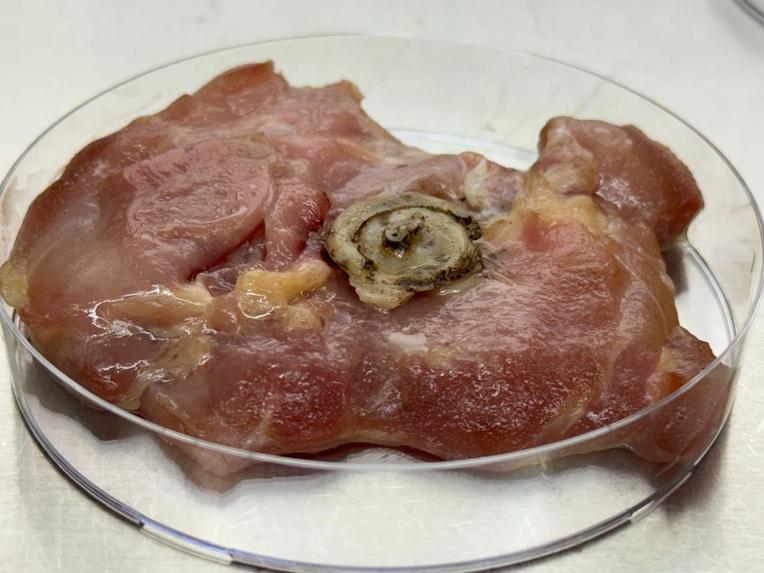 Anisium Guard: Smart Edible Nano Sensor Strip Powered by AI – screenshot 5