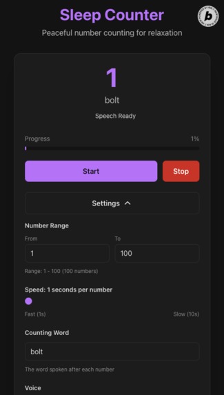 Bolt Sleep Counter - One Shot Prompt – screenshot 1