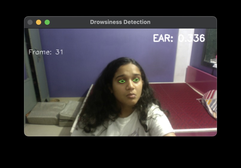 Drowsiness Detection System – screenshot 3