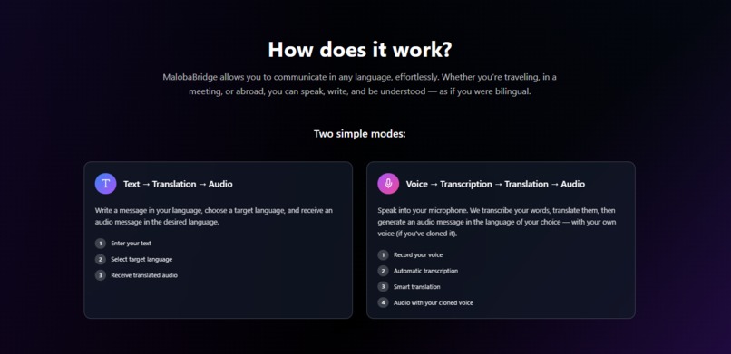 MALOBA_BRIDGE_AI  – screenshot 5