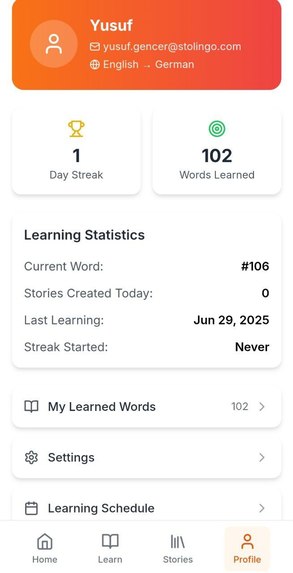 Stolingo – screenshot 4