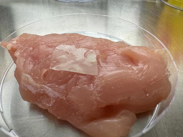 Anisium Guard: Smart Edible Nano Sensor Strip Powered by AI – screenshot 6