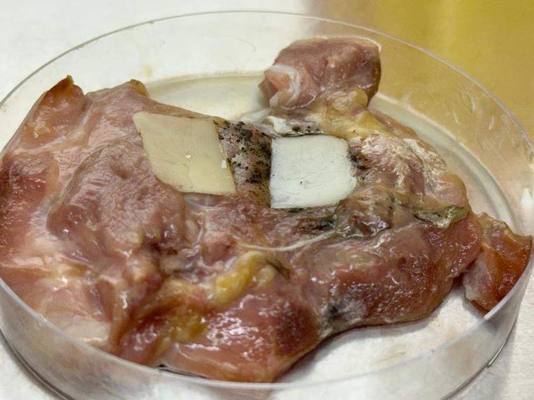 Anisium Guard: Smart Edible Nano Sensor Strip Powered by AI – screenshot 7