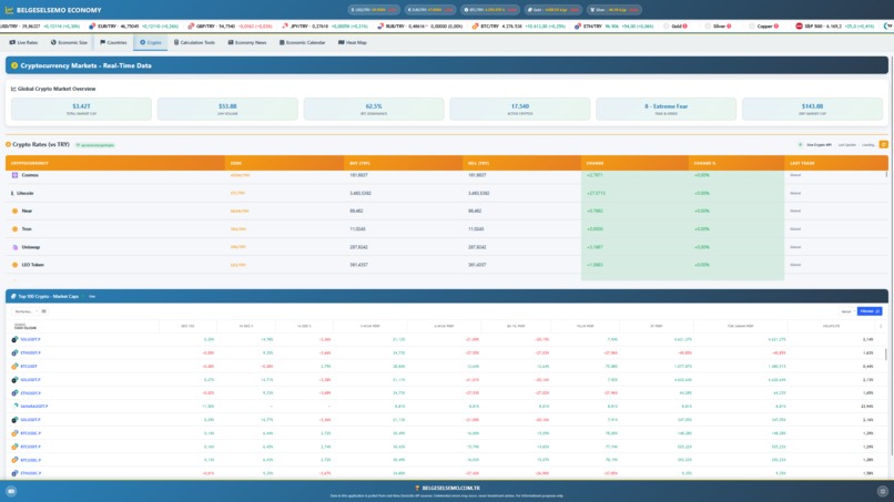 BELGESELSEMO ECONOMY – screenshot 6