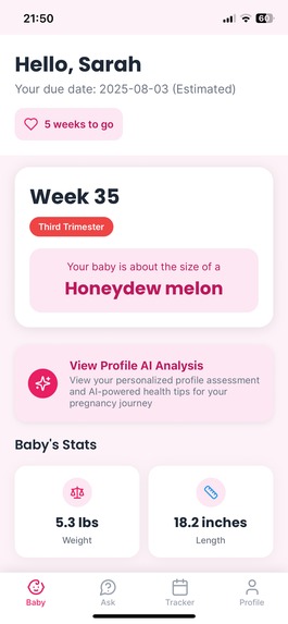 Obstie – screenshot 6