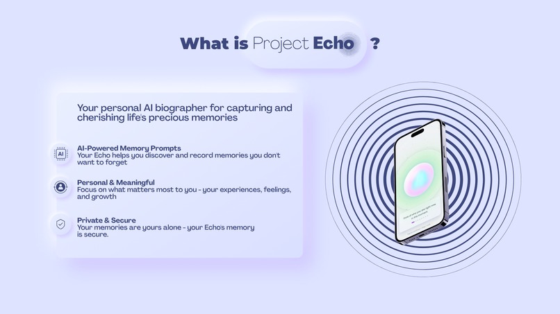 Project Echo – screenshot 2