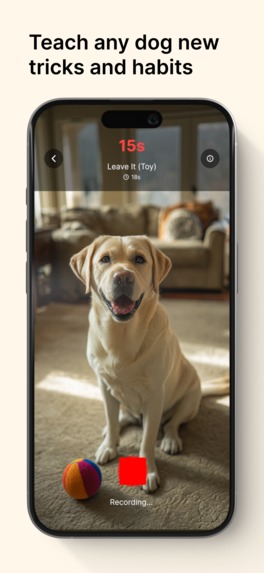 Pawtrain - AI Dog Trainer – screenshot 3