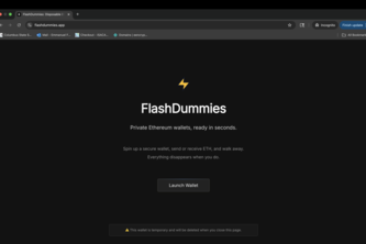 FlashDummies