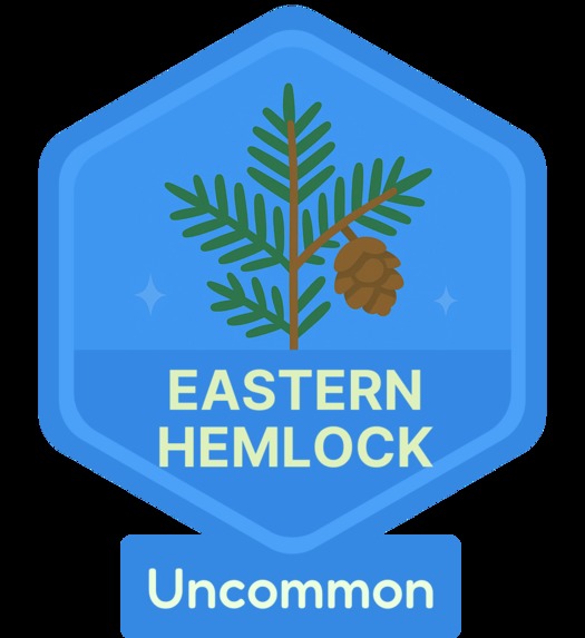 Leafari - Pokemon Go for Plants – screenshot 3