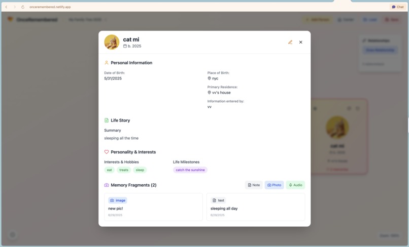 OnceRemembered – screenshot 7