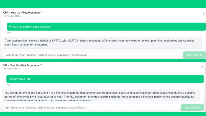 AiCounting - Talk to your books. – screenshot 12