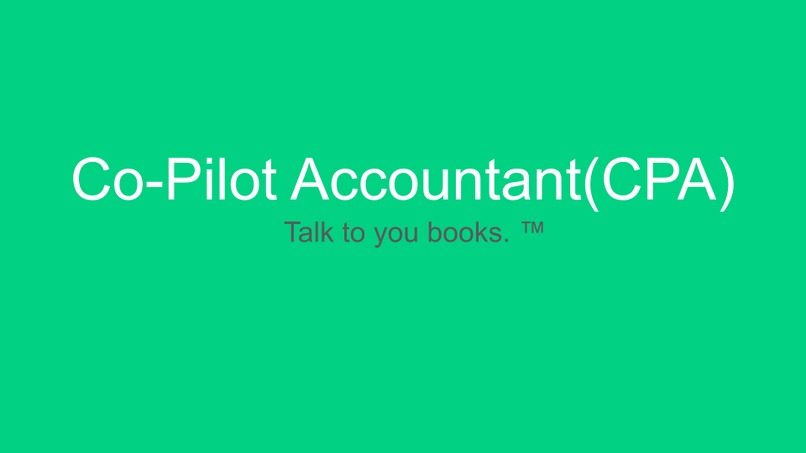 AiCounting - Talk to your books. – screenshot 11