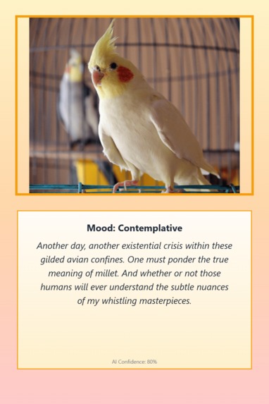 Pet Mood Translator – screenshot 12