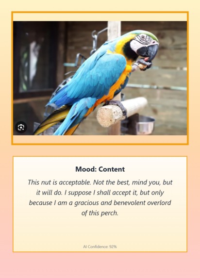 Pet Mood Translator – screenshot 13