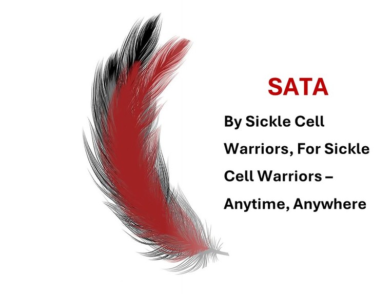 SATA - Sickle Advocacy, Tracking & Assistance – screenshot 1