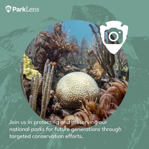 ParkLens.org – screenshot 4
