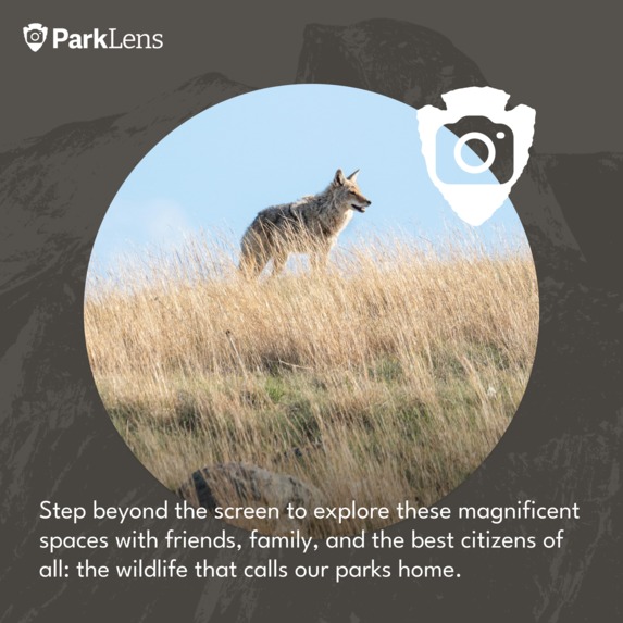 ParkLens.org – screenshot 3