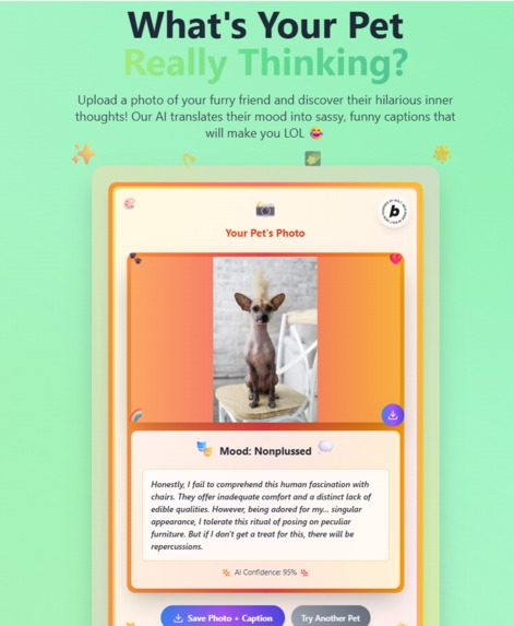 Pet Mood Translator – screenshot 3