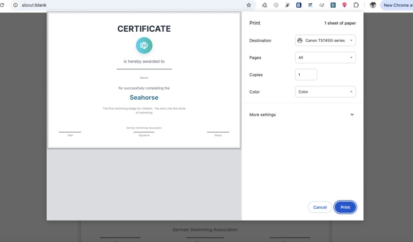 German Swimming Badges Rules, Requirements and Progress – screenshot 1