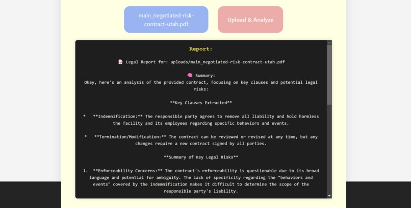 Legal Contract Analyzer – screenshot 3