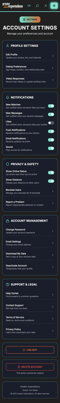 Greater Expectations | Video Dating for the New Millennium  – screenshot 3