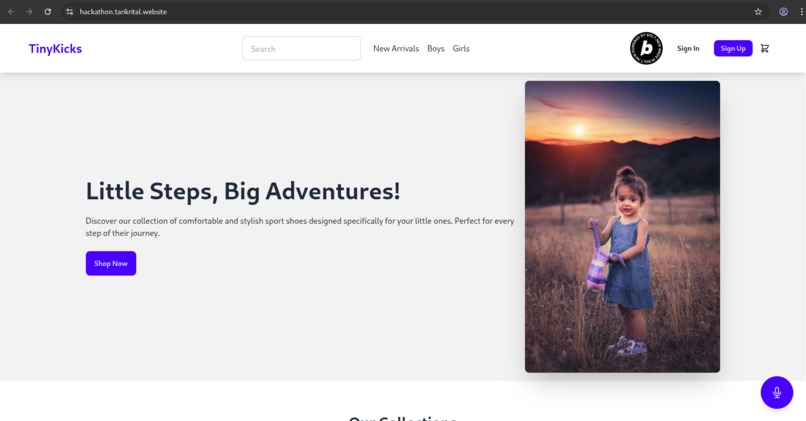 AI Voice Store: Hands-Free Shopping with Bolt – screenshot 1