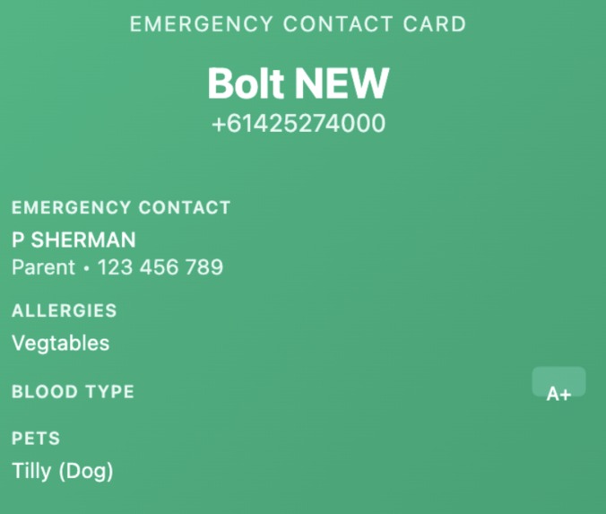 Emergency Card Generator – screenshot 1