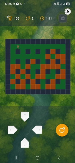 Medieval Bomber – screenshot 8