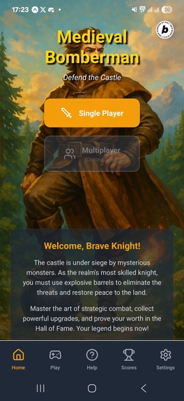 Medieval Bomber – screenshot 1