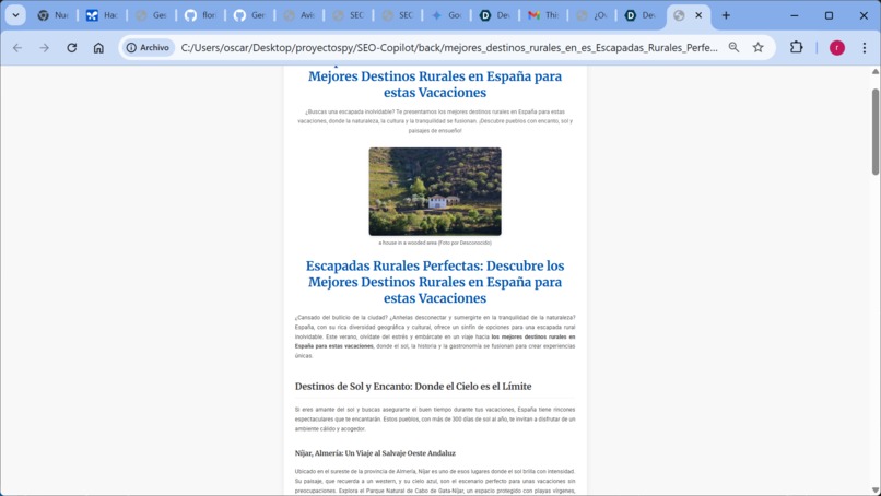 seo-copilot – screenshot 4