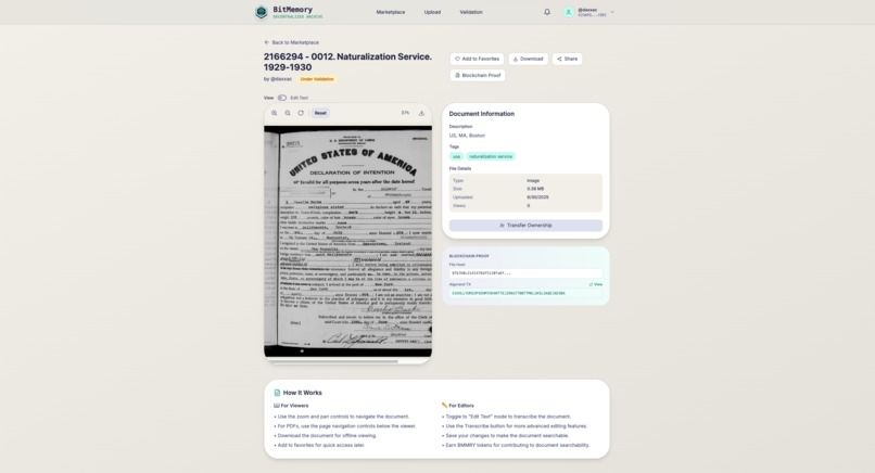 BitMemory  – screenshot 2