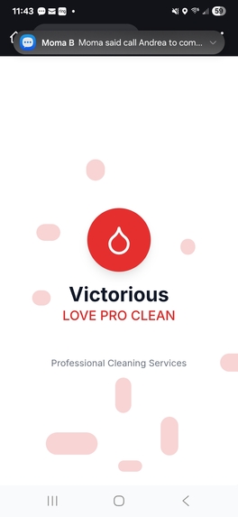 victorious love pro clean – screenshot 4