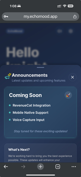 EchoMood – screenshot 4
