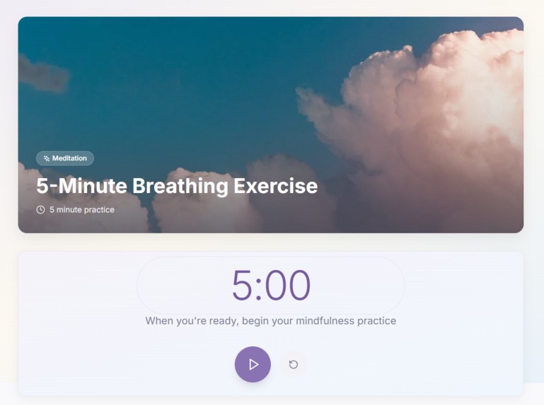 Solace – Conversational Wellness Coach – screenshot 5
