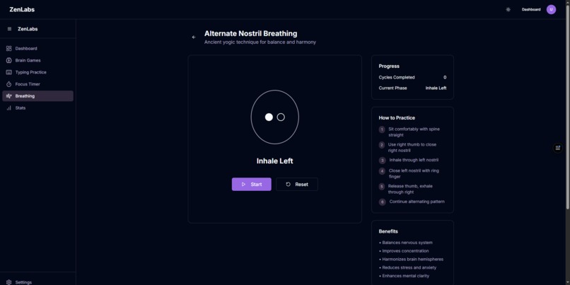 ZenLabs – screenshot 3