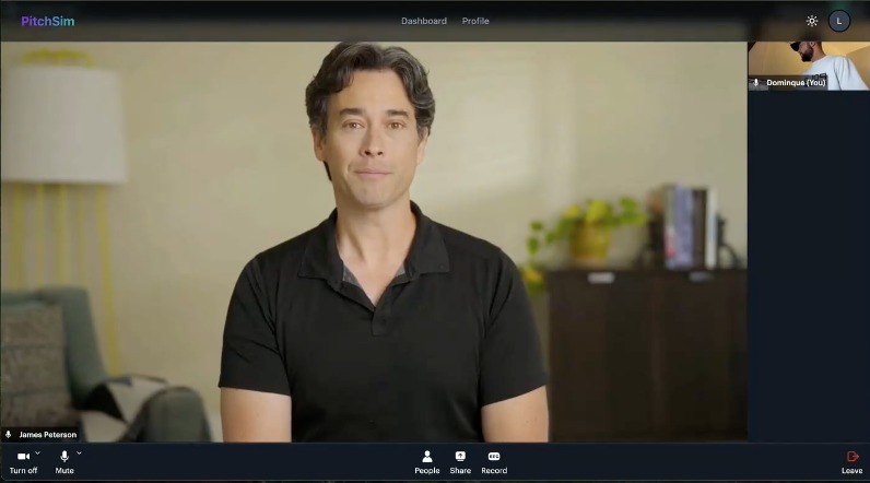 PitchSim – screenshot 3