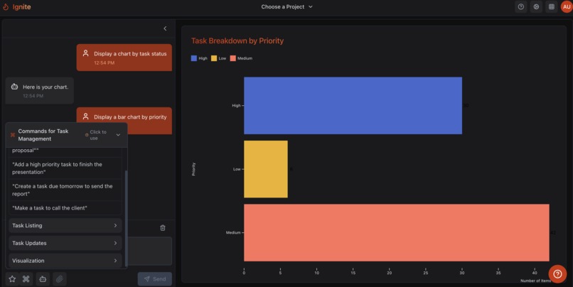 ignitechat.ai – screenshot 3