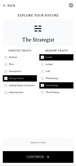 Ba Gua Oracle – screenshot 8