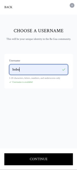 Ba Gua Oracle – screenshot 11