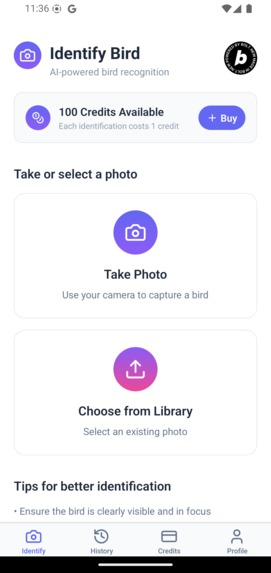 MyBirdy – screenshot 1