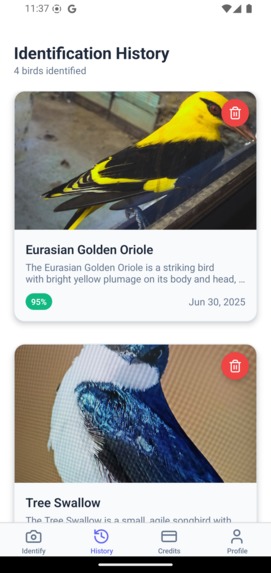 MyBirdy – screenshot 2