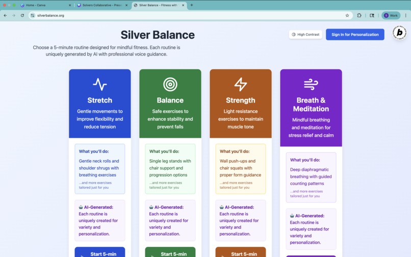 Silver Balance  – screenshot 2