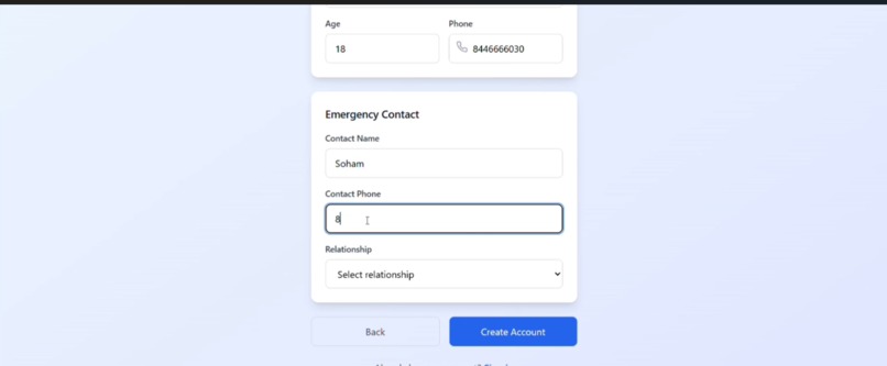 SafeSphere Project  – screenshot 5